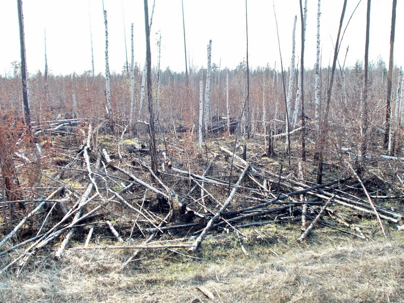 Вид с трассы в сторону пересечения/View towards CP from the route