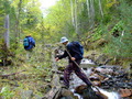 #9: 3 km away from the confluence point: Neruchanda influent from a canyon