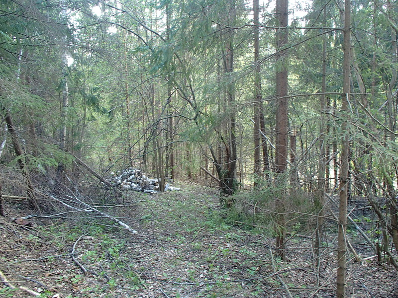 View to the south / Вид на юг