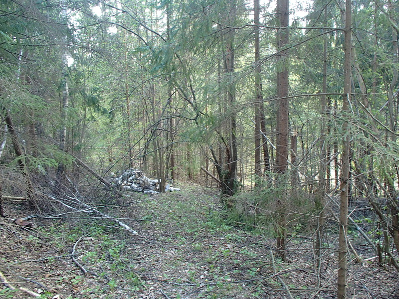 View to the south / Вид на юг