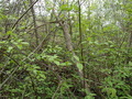 #3: View to the east / Вид на восток