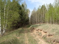 #7: Road to CP / Дорога к точке