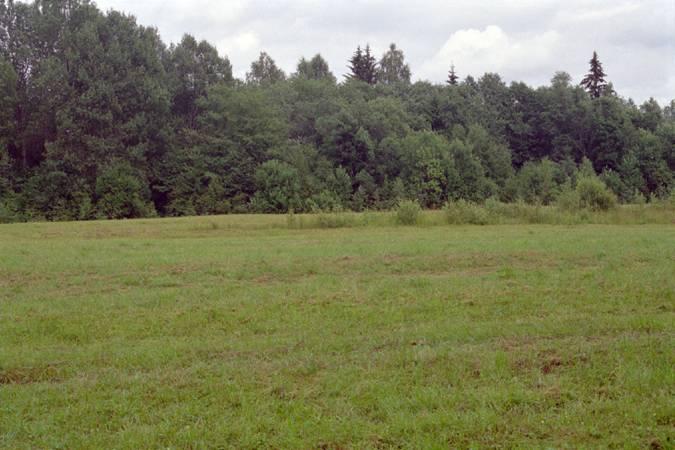 Вид на восток с опушки, рядом с точкой / View East from the forest edge near the CP