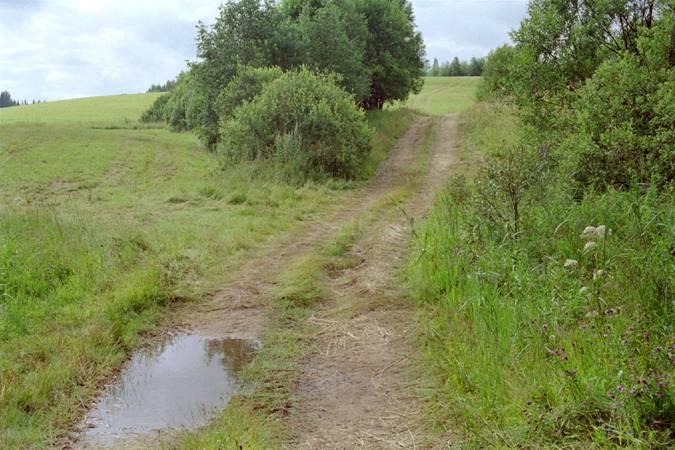 Дорога кончается, до точки 400 м / Road ends, 400 metres from the CP