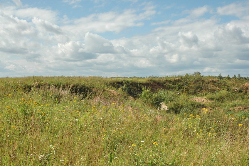 West view/Запад