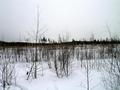#3: CP 57N 36E - view to East
