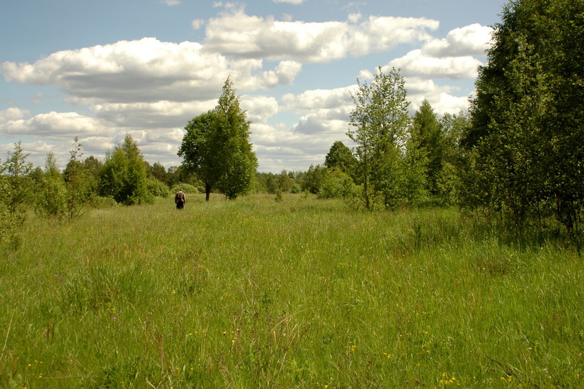 Onto the field / По полю