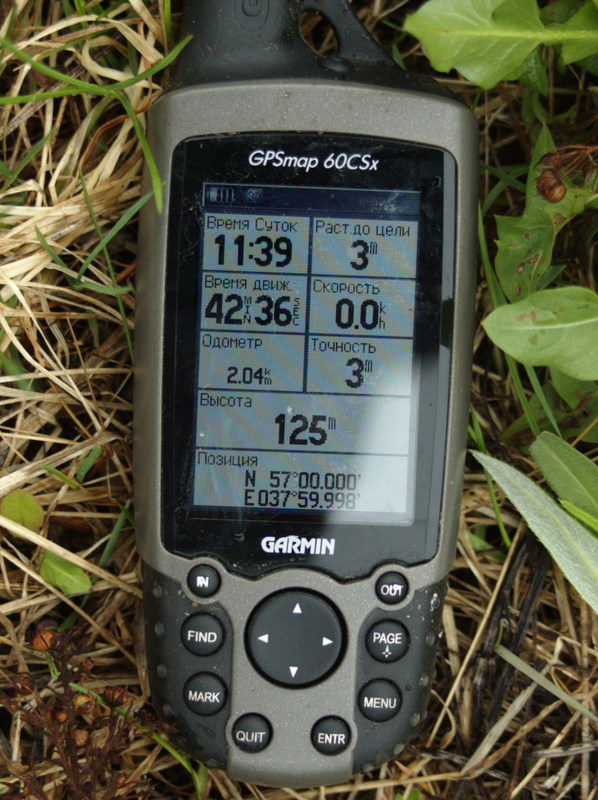 GPS reading