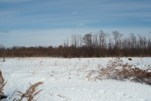 View to DCP's north-side