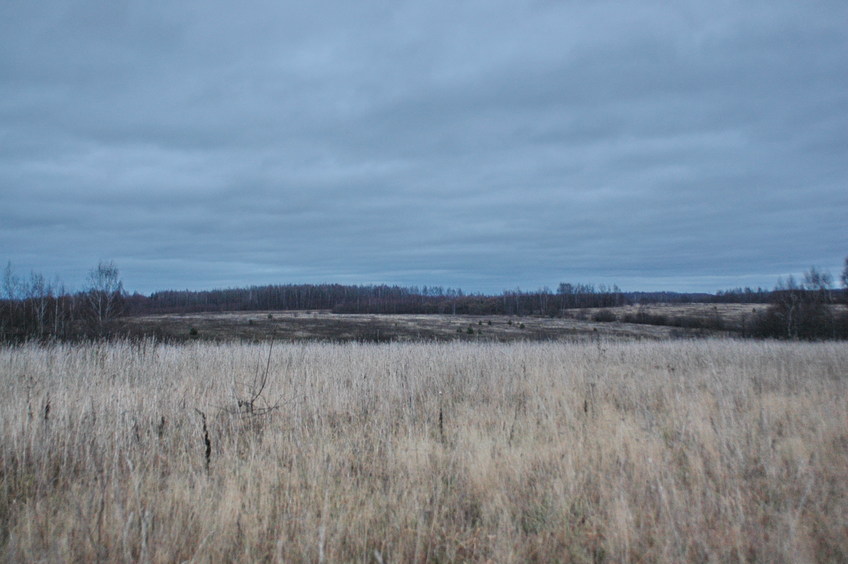 The field, 150 m from the confluence