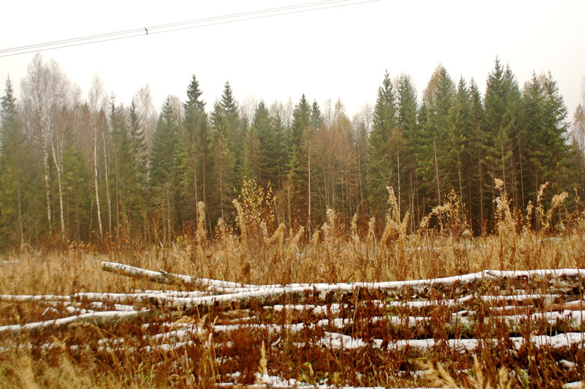 South-West view / На юго-запад