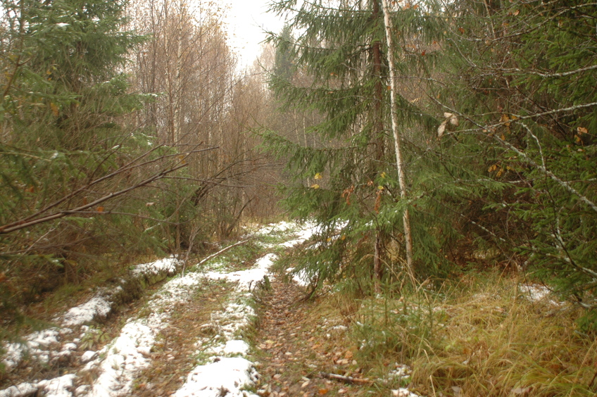 A road to the CP / Дорожка к точке