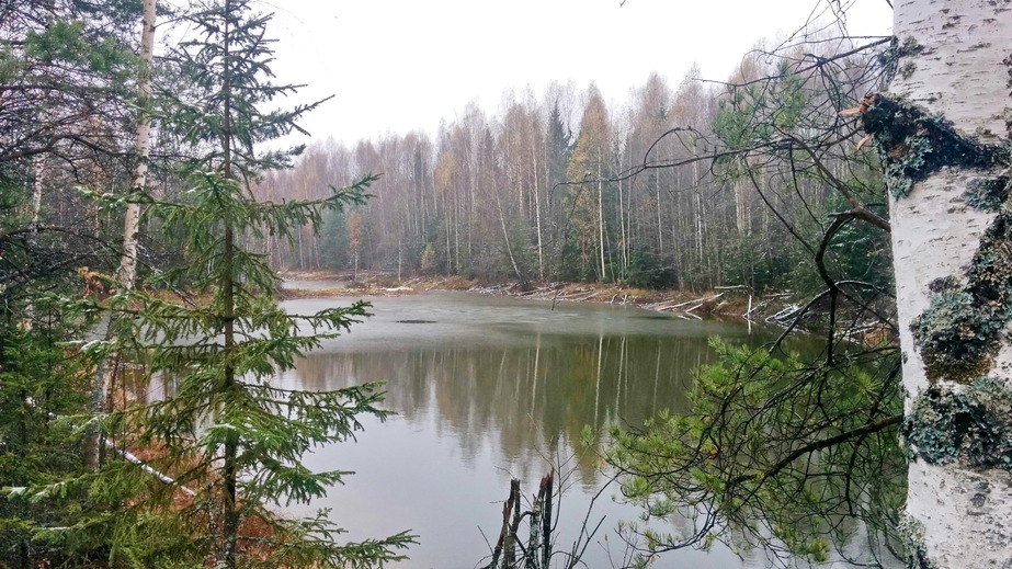 Forest lake / Лесное озеро