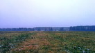 #7: View to the field / Вид на поле