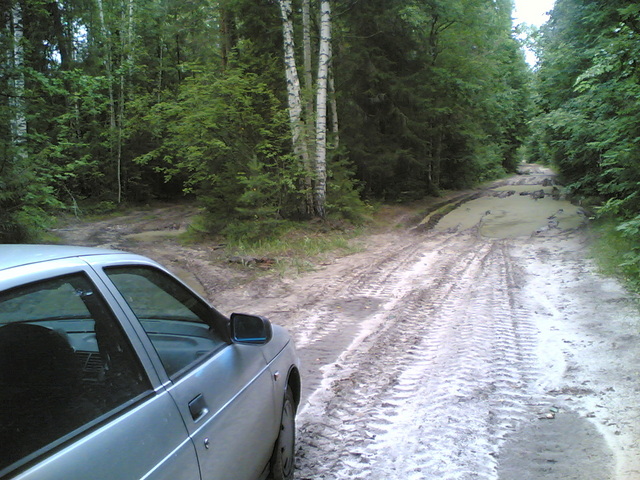 Начало лесной дороги / The forest road