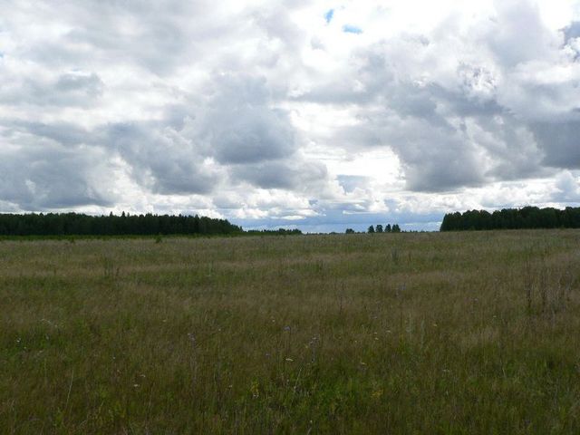 Forest gate, the border of Mariy-El