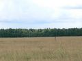 #4: West view