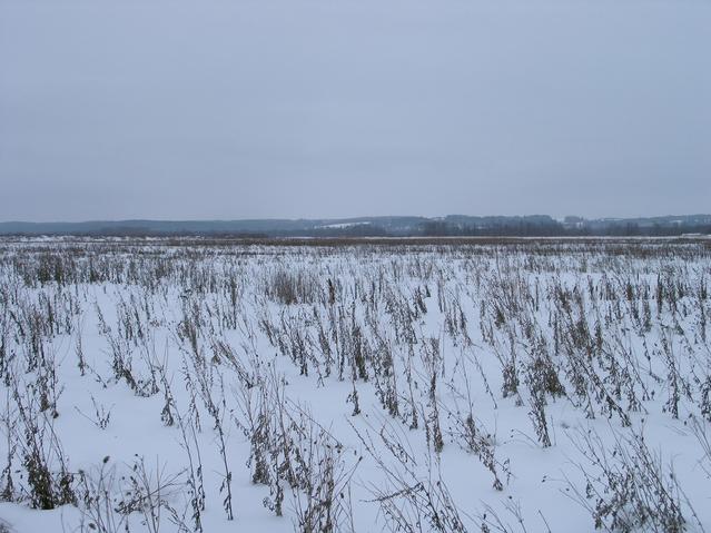 Вид на восток в направлении реки Сивы -- East view towards the river Siva