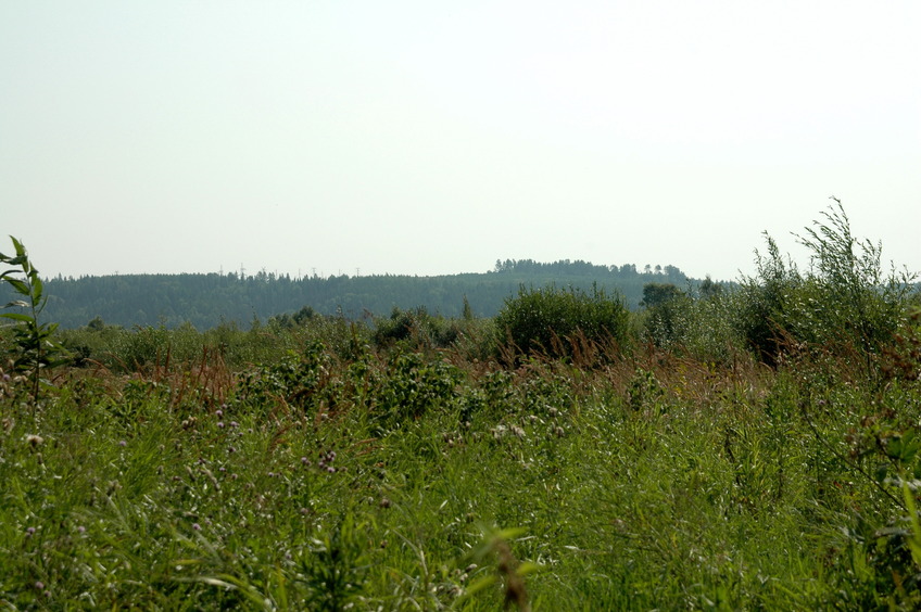 Siva riverbank at the distance / Вдали высокий берег Сивы