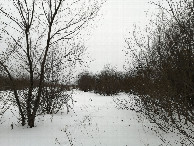 #3: South view