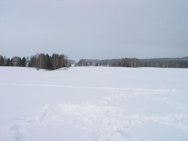 Вид на север в направлении деревни Кресты -- North view towards Kresty  village