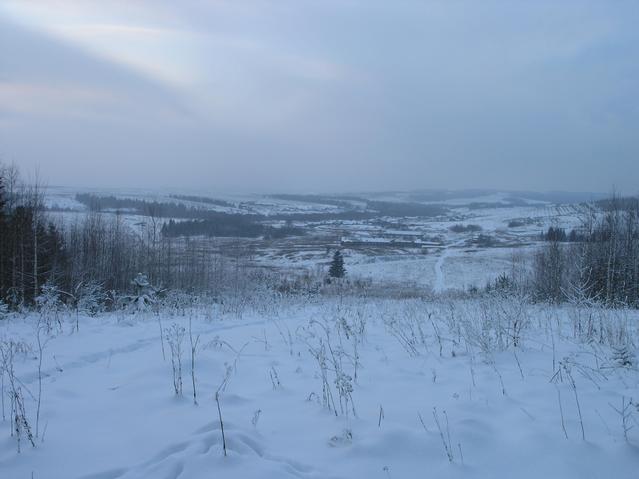 Запад. Деревня Антуфьево -- West. Antuf'yevo village