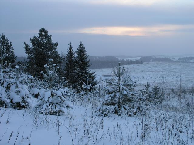 Юго-Запад -- South-West