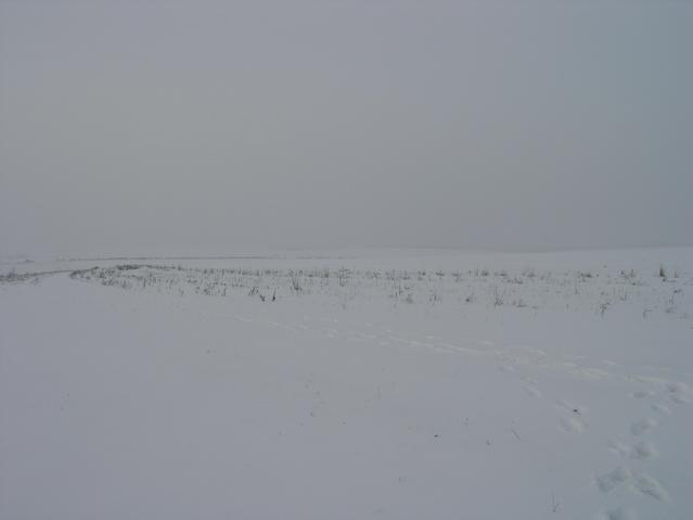 Вид на запад -- West view