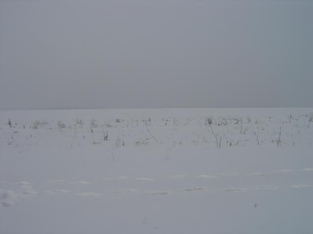 Вид на север -- North view