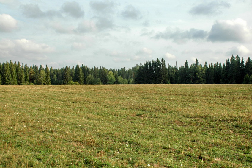 East view/Восток