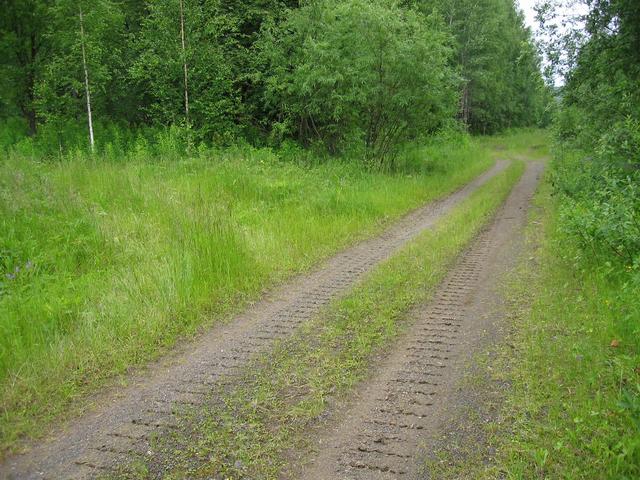 smooth lane runs by the confluence, and cutting branches off to the north, leading almost to the target