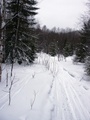 #7: Ski-track