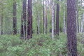 Visit #4: [12-Jun-08]