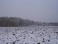 #4: West