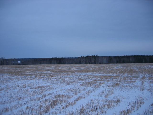 View from the confluence