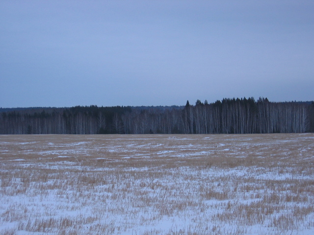 View to the East