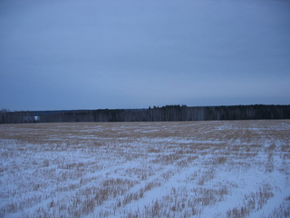 #1: View from the confluence