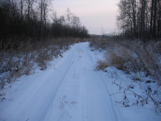 brilliant beaten lane, ideally suitable for riding bike, goes by the confluence, but we discovered it only after successful exploration of the point