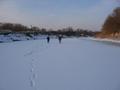 #9: we made our way towards the confluence by frozen bed of Pyshma river - the easiest way in winter