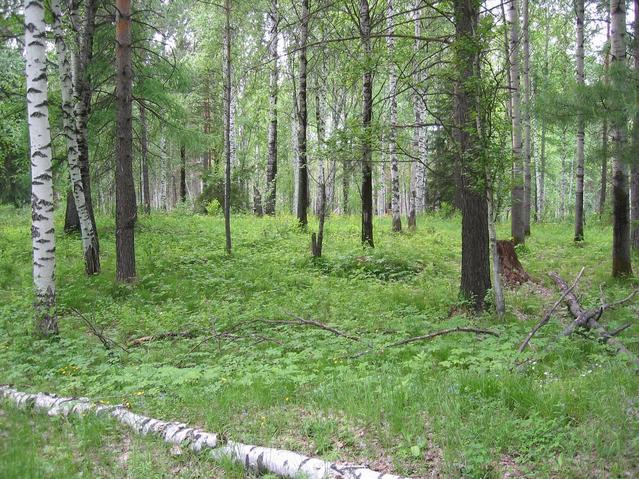 запад -- West