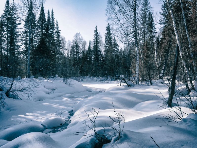 Зимняя сказка рядом с точкой / Winter fairy-tale at the CP