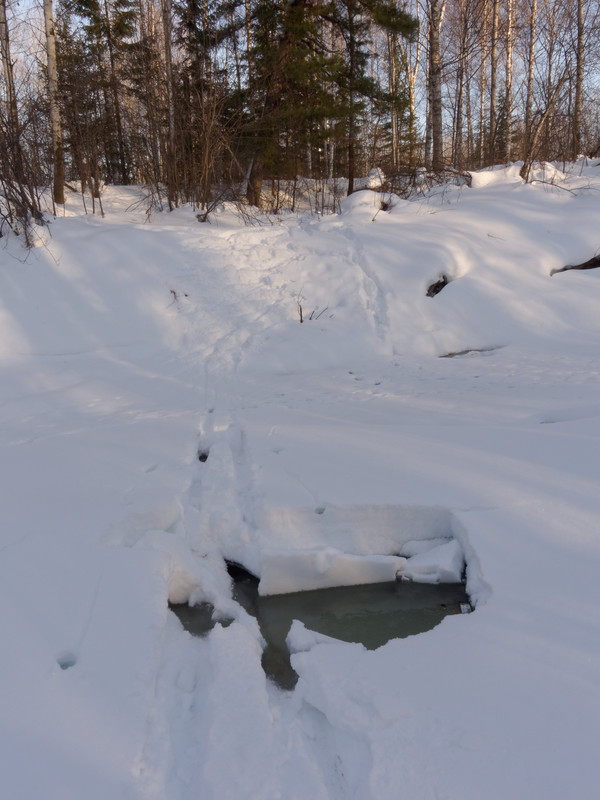 Опасность на реке Парбиг / Dangerous place on Parbig river