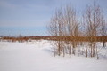 57°N 82°E preview image