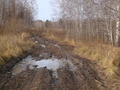 #7: Дорога в низинах / Road in lowlands