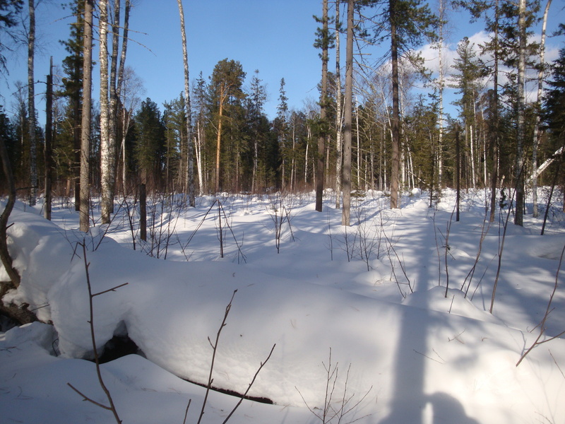 Север / North