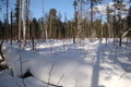 57°N 85°E preview image