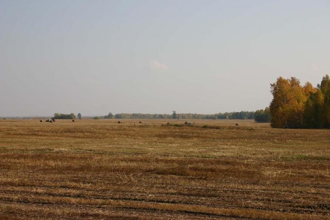 На осенних полях -- In autumn fields