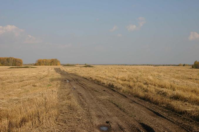 Осень -- Autumn