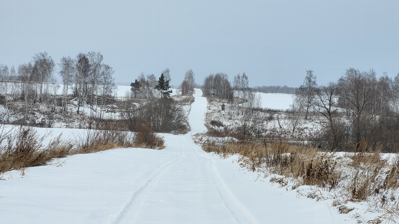 Полевая дорога / Field road