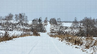 #10: Полевая дорога / Field road